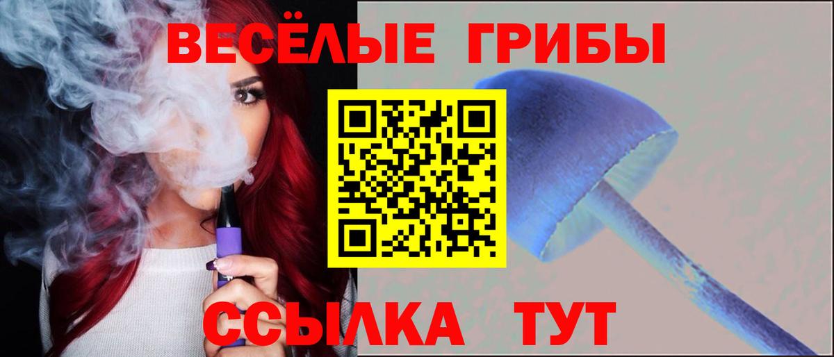 Галлюциногенные грибы мицелий  Вход с VPN  Новозыбков 